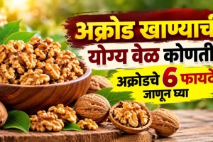 walnuts health benefits | soaked walnuts vs raw walnuts | best time to eat walnuts for brain health | omega 3 fatty acid foods marathi