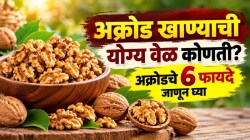 अक्रोड खाण्याची योग्य पद्धत कोणती? भिजवून खावेत की नुसतेच? जाणून घ्या मेंदू आणि हृदयासाठी फायदेशीर ‘६’ टिप्स