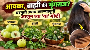 Amla for hair growth | Bhrimraj powder hair mask | Brahmi hair pack benefits | Natural hair care tips Marathi