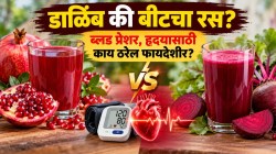 डाळिंब की बीट? हाय ब्लड प्रेशर कमी करण्यासाठी कोणता रस अधिक फायदेशीर? तज्ज्ञांकडून जाणून घ्या फरक