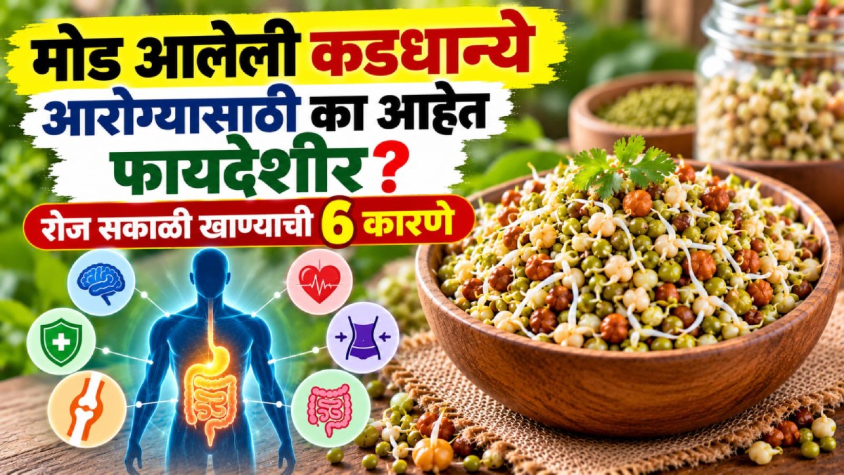 Eating Sprouts Benefits | रोज सकाळी मोड आलेली कडधान्ये खाण्याचे ६ फायदे