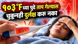 १००, १०२ की १०३ डिग्री? ताप आल्यावर किती तापमान शरीरासाठी धोकादायक ठरू शकतं? ‘ही’ लक्षणं दिसताच सावध व्हा