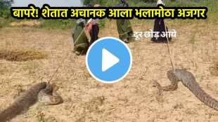Women Pull Big Python With Rope Shocking Video viral