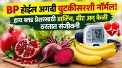 BP होईल अगदी चुटकीसरशी नॉर्मल! हाय ब्लड प्रेशरसाठी डाळिंब, बीट अन् केळी ठरतात संजीवनी