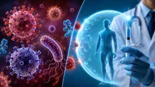 Lancet Oncology Cancer Infection Study HPV and Hepatitis B Viruses