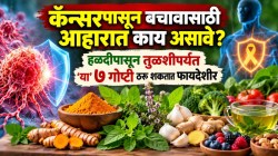 कॅन्सरपासून बचावासाठी आहारात काय असावे? हळदीपासून तुळशीपर्यंत ‘या’ ७ गोष्टी ठरू शकतात फायदेशीर, तज्ज्ञांचा सल्ला