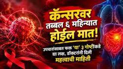 कॅन्सरवर तब्बल ६ महिन्यात होईल मात! उपचारांसोबत फक्त ‘या’ ३ गोष्टींकडे द्या लक्ष, डॉक्टरांनी दिली महत्त्वाची माहिती
