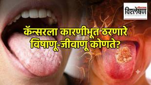 cancer risk increased viruses bacterial infections Lancet study HPV Virus and Doctor Health Advice