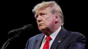 donald-trump-volodymyr-zelenskyy-russia-ukraine-energy-ceasefire