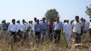 Ahilyanagar Drought