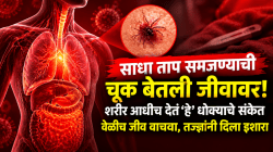 साधा ताप समजण्याची चूक बेतली जीवावर! शरीर आधीच देतं ‘हे’ धोक्याचे संकेत; वेळीच जीव वाचवा, तज्ज्ञांनी दिला इशारा