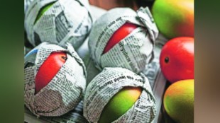 Science Behind Fruit Ripening in Paper: Why Fruits Ripen Faster
