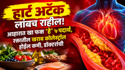 हार्ट अटॅक लांबच राहील! आहारात खा फक्त ‘हे’ ५ पदार्थ, रक्तातील खराब कोलेस्ट्रॉल होईल कमी, डॉक्टरांची माहिती