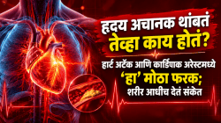 हृदय अचानक थांबतं तेव्हा काय होतं? हार्ट अटॅक आणि कार्डियाक अरेस्टमध्ये ‘हा’ मोठा फरक; शरीर आधीच देतं संकेत