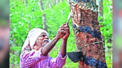 ‘देवभूमी’ला विकासाचे वेध…
