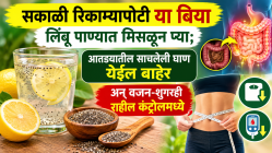 सकाळी रिकाम्यापोटी या बिया लिंबू पाण्यात मिसळून प्या; आतड्यातील साचलेली घाण येईल बाहेर अन् वजन-शुगरही राहील कंट्रोलमध्ये