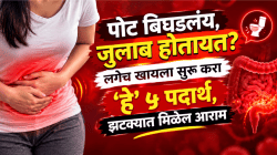 पोट बिघडलंय, जुलाब होतायेत? लगेच खायला सुरू करा ‘हे’ ५ पदार्थ, झटक्यात मिळेल आराम; डॉक्टरांचा सल्ला