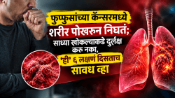 फुफ्फुसांच्या कॅन्सरमध्ये शरीर पोखरून निघतं; साध्या खोकल्याकडे अजिबात दुर्लक्ष करु नका, ‘ही’ ६ लक्षणं दिसताच सावध व्हा