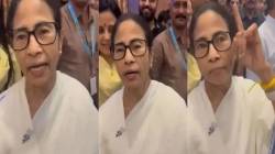 Video : “जॉनी जॉनी येस पापा, भाजप सरकार, ज्ञानेश कुमार नो पापा” ममता बॅनर्जींनी उडवली खिल्ली; व्हिडीओ व्हायरल