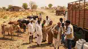 Maharashtra drought fodder shortage | Forest grass auction stopped Maharashtra | Fodder price declaration Maharashtra | Devendra Fadnavis fodder management strategy