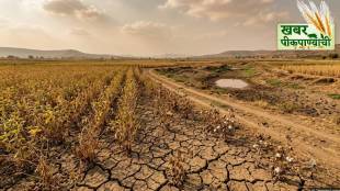 maharashtra drought condition | kharif crop damage due to rain deficit | farmers crisis in marathwada vidarbha | returning monsoon failure in maharashtra