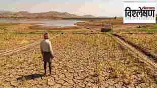 maharashtra rabbi season drought crisis | solapur rabbi jowar crop failure | water scarcity maharashtra agriculture 2026 | maharashtra dam water level shortage news