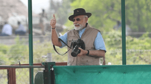 Narendra Modi Wildlife Conservation | Narendra Modi Kuno Project Cheetah 25 Years | नरेंद्र मोदी वन्यजीव संरक्षण २५ वर्षे | नरेंद्र मोदी कुनो प्रोजेक्ट चित्ता गीर सिंह