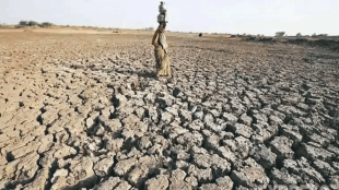Maharashtra Drought Relief Fund | Drought Inspection Team Maharashtra Farmers Aid | महाराष्ट्र दुष्काळ मदत निधी शेतकरी दिवाळी | मदत व पुनर्वसन मंत्री मकरंद जाधव दुष्काळ पाहणी