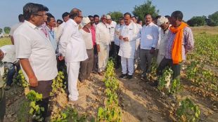 Harshvardhan Sapkal Dhule Drought Tour | Congress State President Slams BJP Government | काँग्रेस प्रदेशाध्यक्ष हर्षवर्धन सपकाळ धुळे दुष्काळ पाहणी | भाजप सरकारवर टीका हर्षवर्धन सपकाळ धुळे दौरा