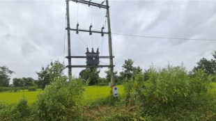 Bhandara Lakhani farmer electricity transformer burnt | MSEDCL Mahavitaran burnt transformer issue in Dhiverwada | भंडारा लाखनी शेतकरी डीपी जळाला | महावितरण रोहित्र बिघाड ढिवरवाडा