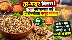 तूर-मसूर विसरा! ‘या’ कडधान्यात आहे प्रोटीनसोबत भरपूर फायबर, वारंवार भूक लागणाऱ्यांनी आवर्जून करावे सेवन