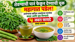 सुपरफूड शेवग्याची पानं फेकून देण्याची चूक महागात पडेल! आरोग्याचा खजिना असलेल्या पानांचा काढा आणि सूप पिण्याचे ५ जबरा फायदे एकदा वाचाच