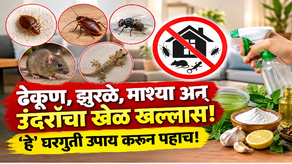 घरगुती उपायांनी पळवा घरातील ढेकूण, माशा, झुरळ, पाल आणि उंदीर | Home ...