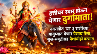 navratri horoscope positive impact on taurus, virgo, sagittarius zodiac signs get money, wealth