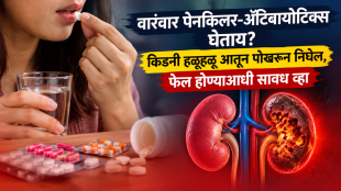 painkillers affects on kidney damage antibiotics frequent use harmful for kidneys