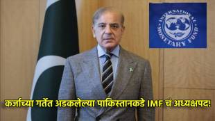 Pakistan Chair IMF World Bank 2027 board of governors | Ahad Khan Cheema IMF World Bank meeting | पाकिस्तान आयएमएफ जागतिक बँक अध्यक्षपद २०२७ | पाकिस्तान आर्थिक संकट जागतिक बँक सुनावणी