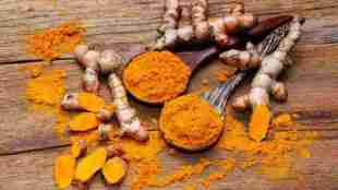 Parbhani FDA Action | Turmeric Seized Selu | KK Bakers License Cancelled | Food Safety Raid Parbhani