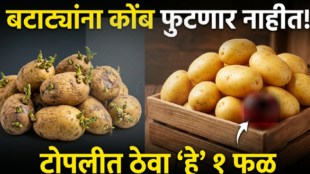 Apple placed with potatoes to prevent sprouting and keep potatoes fresh