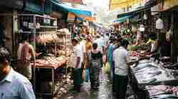 एल निनोमुळे चिकन महाग? उष्णतेचा कोंबड्यांच्या वाढीवर परिणाम…