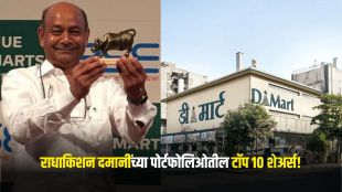Radhakishan Damani portfolio stocks chart | DMart owner stock holdings list graph | राधाकिशन दमानी पोर्टफोलिओ शेअर्स यादी | डीमार्ट मालक राधाकिशन दमानी यांची प्रमुख गुंतवणूक