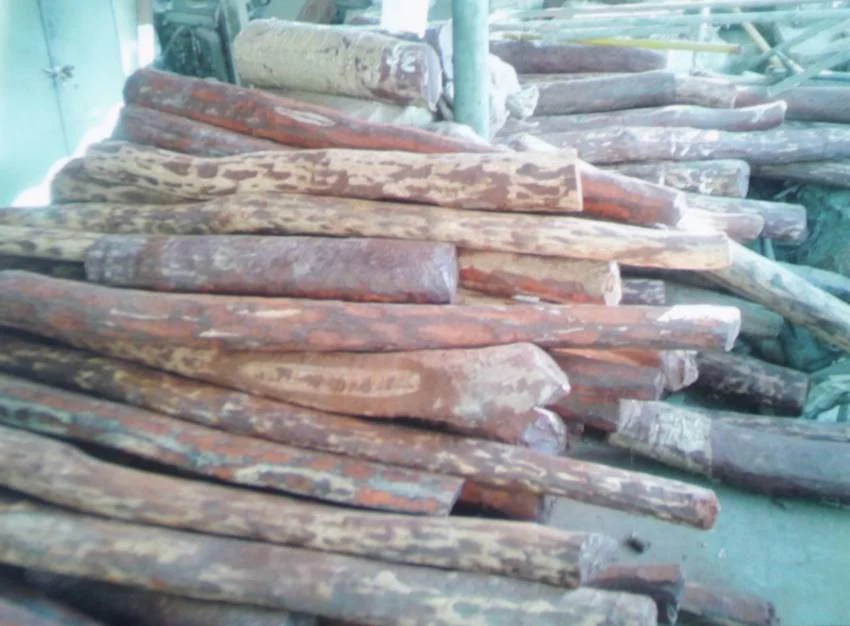 sandalwood city of india