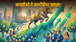 Multibagger Share: १ लाखांचे ११ लाख रुपये करणारा शेअर तुमच्याकडेही आहे का? IPO नंतर आठ वर्षांतच गुंतवणूकदारांना केले मालामाल