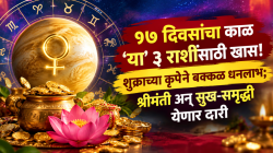 १७ दिवसांचा काळ ‘या’ ३ राशींसाठी खास! शुक्राच्या कृपेने बक्कळ धनलाभ; श्रीमंती अन् सुख-समृद्धी येणार दारी