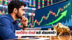 फ्री टिप्सचा मोह सोडा, बाजाराच्या गोंधळात योग्य शेअर्स कसे ओळखावे? वाचा खास रणनीती