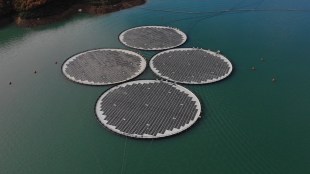 Tata Power Solar Project