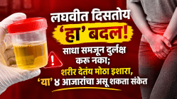 लघवीत दिसतोय ‘हा’ बदल! साधा समजून दुर्लक्ष करू नका; शरीर देतंय मोठा इशारा, ‘या’ ४ आजारांचा असू शकतो संकेत