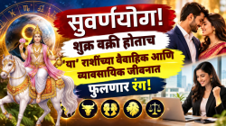 सुवर्णयोग! शुक्र वक्री होताच ‘या’ राशींच्या वैवाहिक आणि व्यावसायिक जीवनात फुलणार रंग!