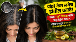 पांढरे केस लगेच होतील काळे! फक्त ‘या’ तेलाचा वापर अन् होईल कमाल, परिणाम पाहून डोळ्यांवर विश्वास बसणार नाही
